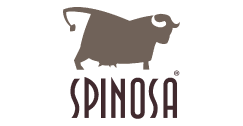 spinosa italian supermarket